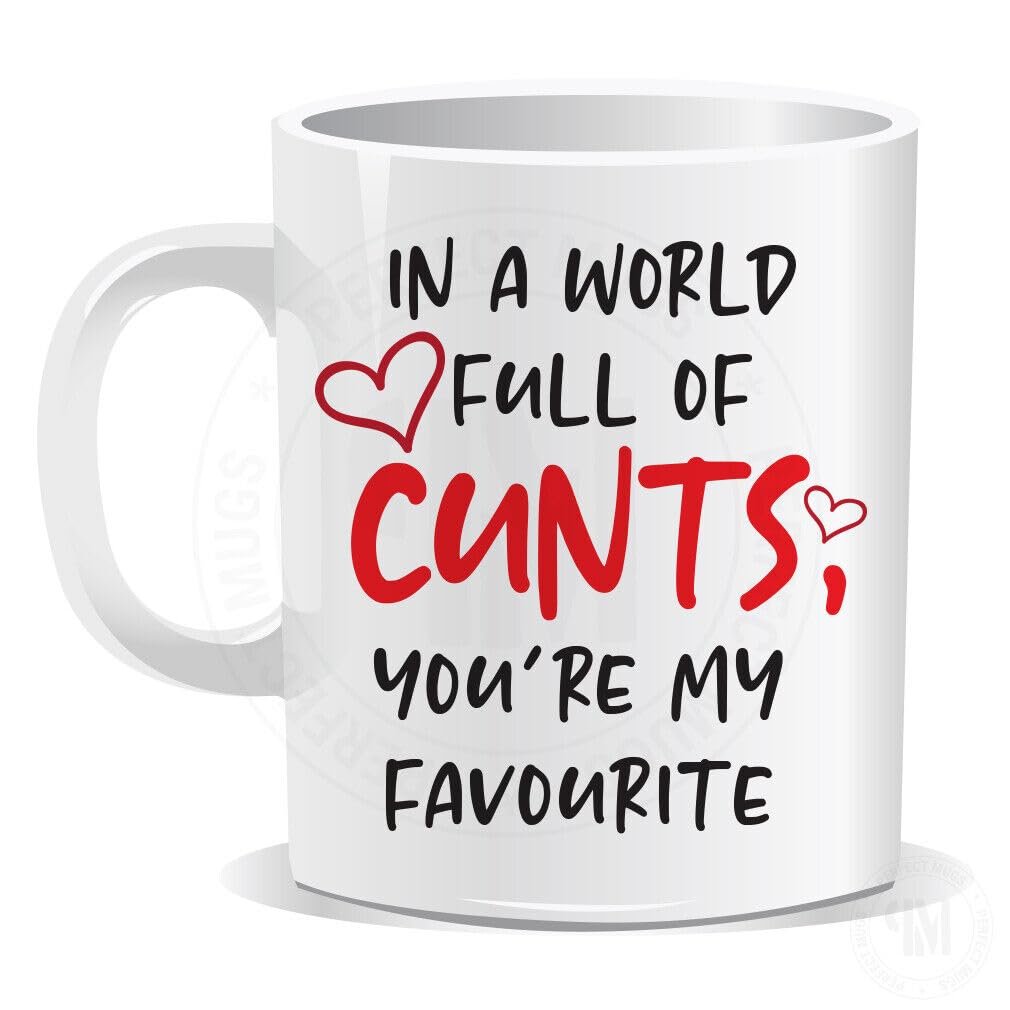 MUGSMAFIA in A World Full of C*NTS You are My Favourite Mug Gift Secret Santa Print(1055) Printed Coffee and Tea Ceramic Mug- 11OZ Ceramic Coffee Mug